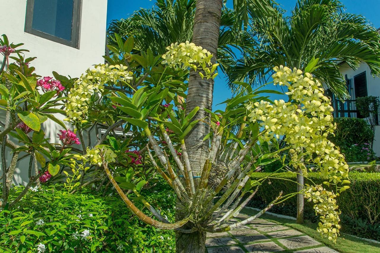 Luxury Villa Sleeps 6, Beach Access, Монтего Бей Екстериор снимка
